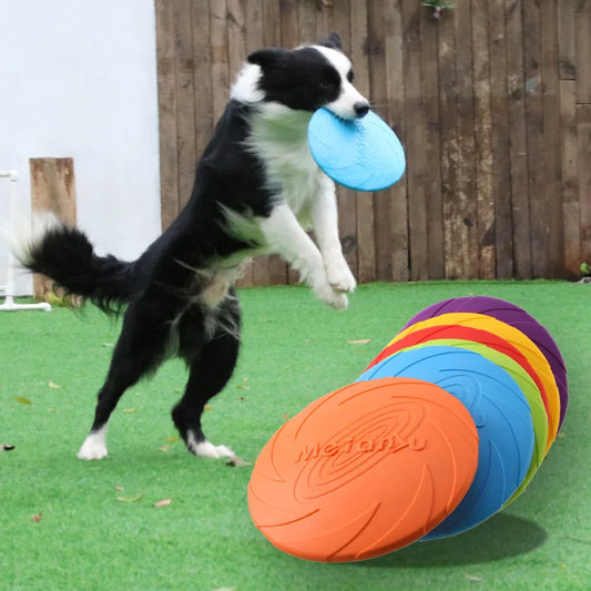 OUZEY Bite-Resistant Flying Disc Toy for Dogs – Outdoor Interactive Training & Play Toy